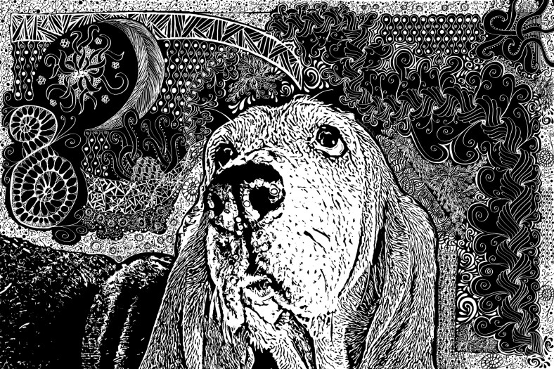 120101_NAT_032-gimp-tangle_LR2000