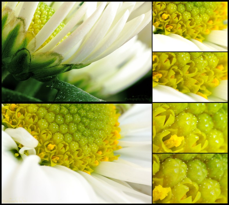 160108_NAT_002-015--gimp_LR1000