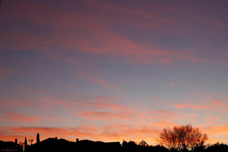 160113_NAT_025--gimp_LR1000-wm