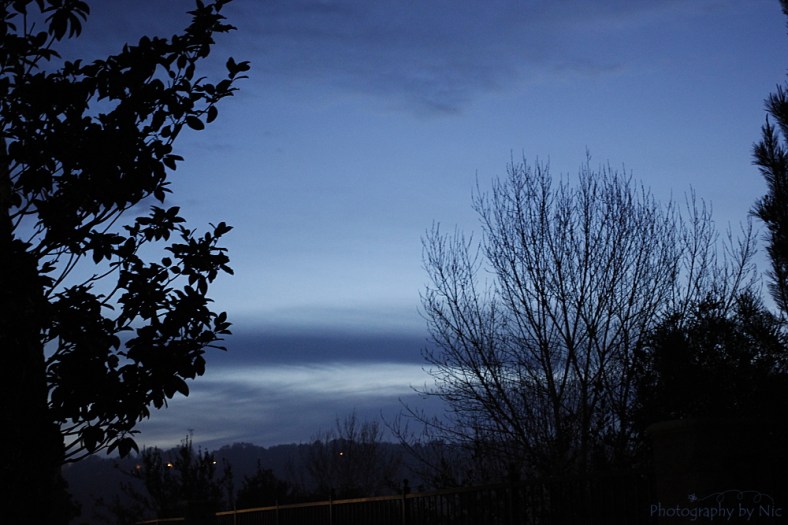 160117_NAT_061--gimp_LR1000