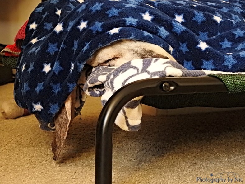 160316_NAT_038--gimp_LR1000-wm