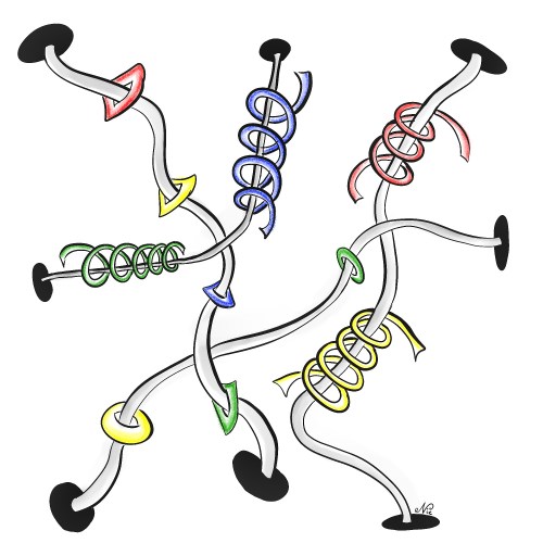 into-the-other-side-color_LR1000