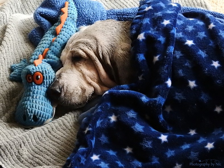 160511_NAT_015-FL_19--gimp_LR1000-wm