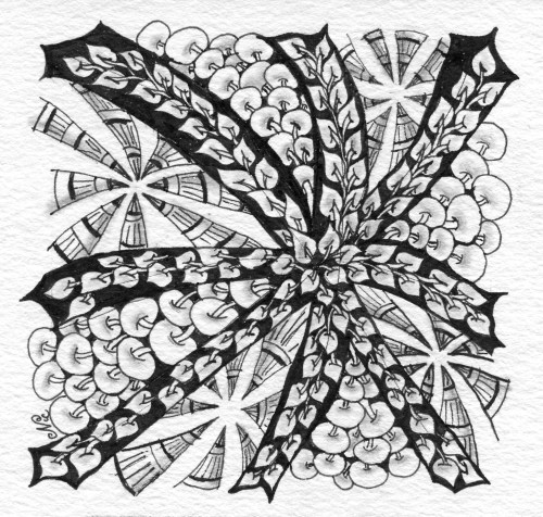 drupe-poke_root-c_LR1000