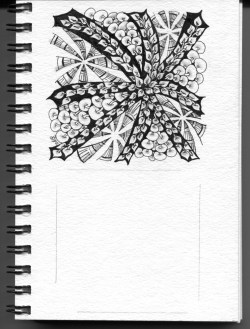 drupe-poke_root_LR1000