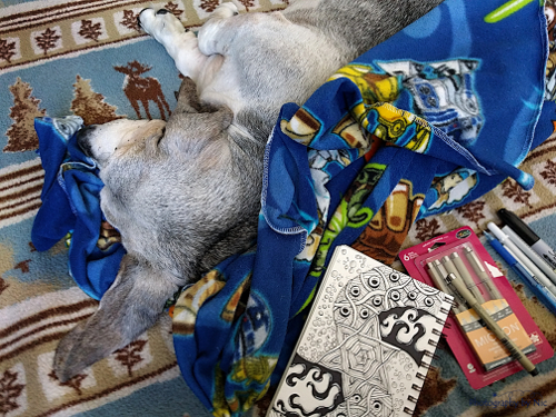 160608_CELL_002-gimp_LR500-wm