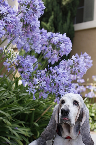 160609_NAT_022-FL_40--gimp_LR500-wm