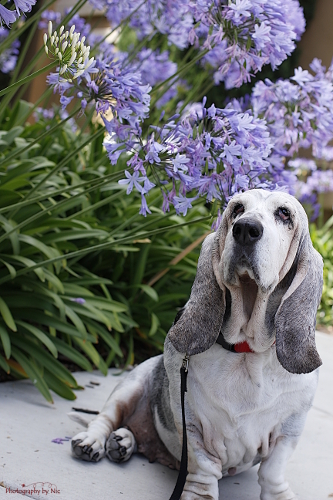 160609_NAT_025-FL_40--gimp_LR500-wm