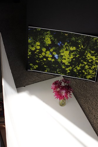 160708_NAT_017-FL_40--gimp_LR1000