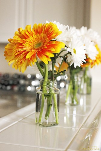 160818_NAT_025-FL_40--gimp_LR1000