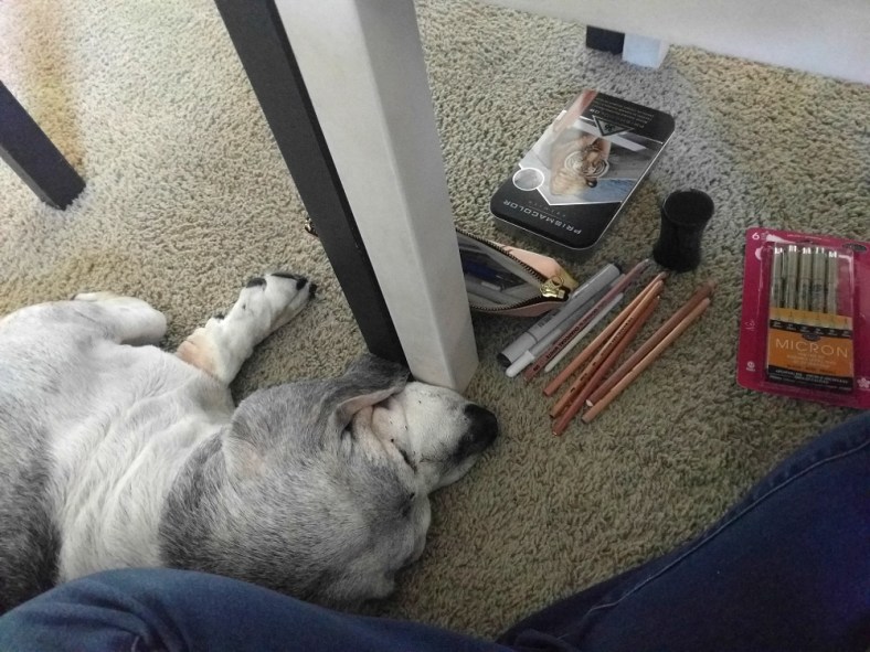 IMG_20160902_174644_LR1000