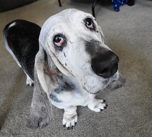 161121_nat_002-fl_4-5-gimp_lr1000