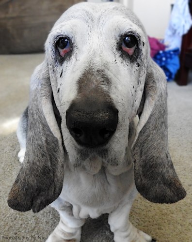 161121_nat_042-fl_4-5-gimp_lr1000