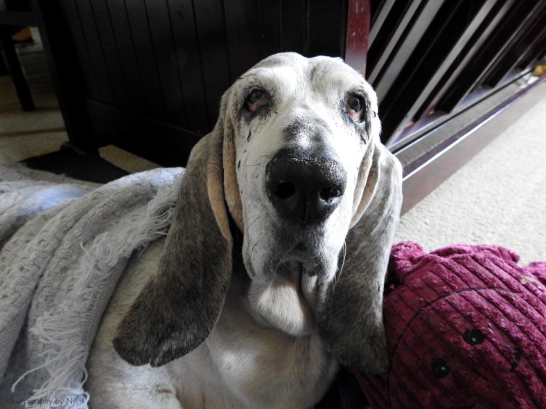 161121_nat_126-fl_4-5-gimp_lr1000