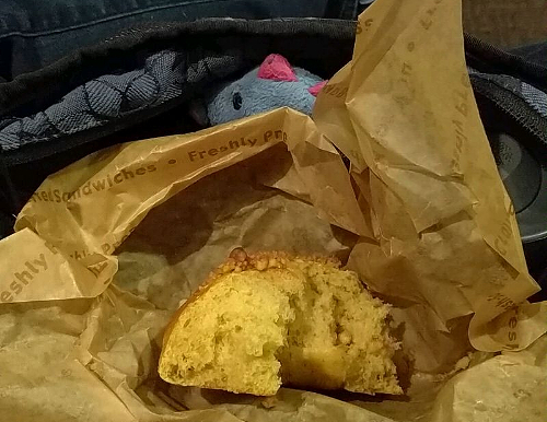 signal-2016-10-08-092846-gimp_lr500