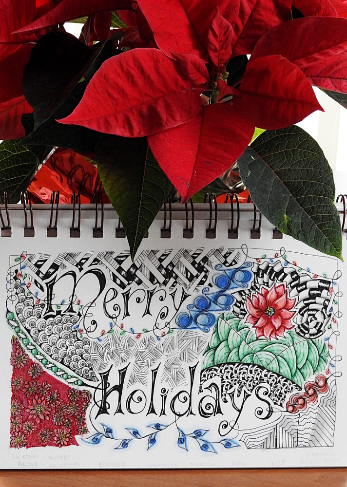 161216_nat_010-fl_19-gimp_lr1000