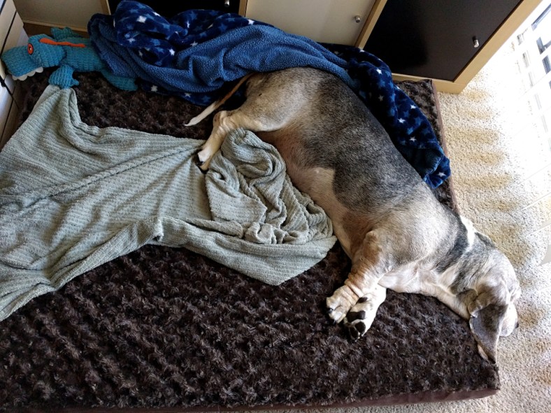 img_20161212_130722-gimp_lr1000