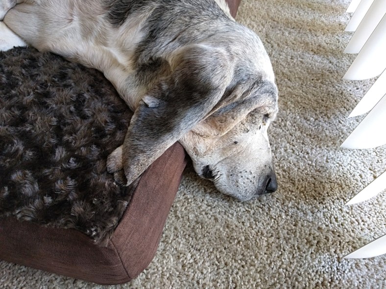 img_20161212_130745-gimp_lr1000