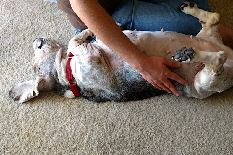 img_20170118_132058-5-gimp_lr1000