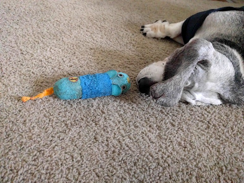 img_20170122_091316-5-gimp_lr1000