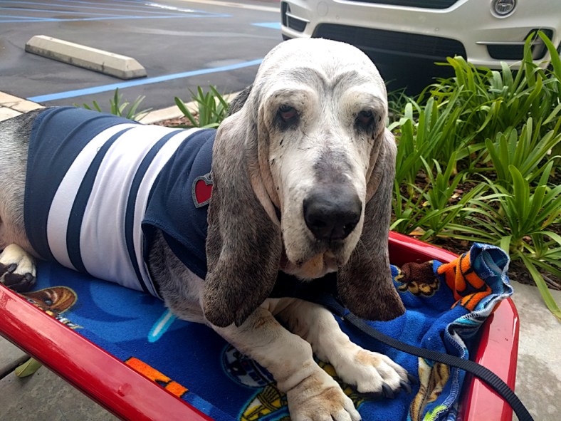 img_20170123_160355-5-gimp_lr1000