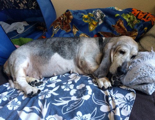 img_20170124_132720-gimp_lr1000