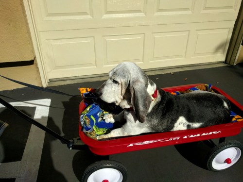 img_20170128_133931-5-gimp_lr1000