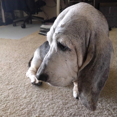 img_20170131_112320-5-gimp_lr1000