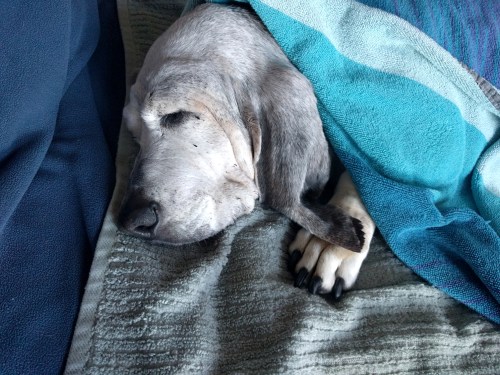 img_20170131_164116-5-gimp_lr1000