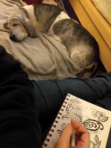 img_20170214_170937-gimp_lr1000